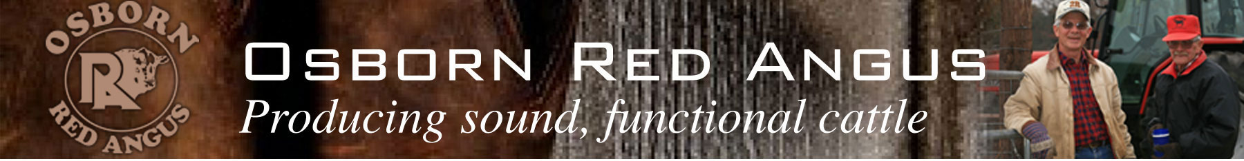 Osborn Red Angus